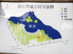 -新江湾城公园