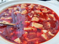 麻婆螺香豆腐-将相和·海鲜蒸饺大连菜