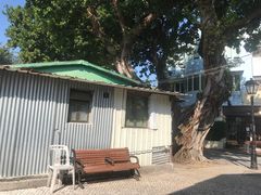 -安德鲁饼店(总店)