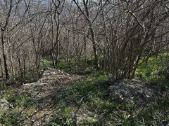 -镇江市南山风景名胜区竹林景区