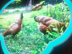 -刀板香·安徽菜(国购IFC店)