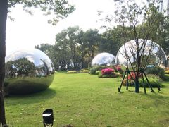 -上海港国际客运中心