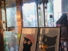 -more than meow吴止猫主题餐厅(承德 中船汇店)