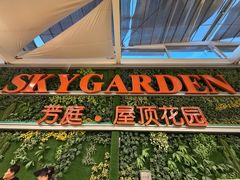-国芳中心