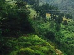 -娄山关景区