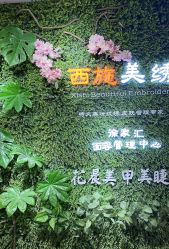 -西施无菌半永久纹绣眉眼影唇轻增发纹发际线