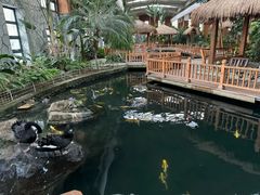 -南宫五洲植物乐园