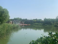-大兴滨河森林公园