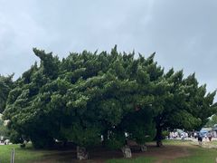 -旅顺博物馆