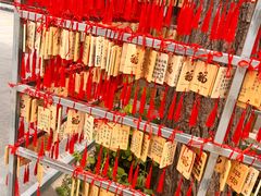 -天津大悲禅院