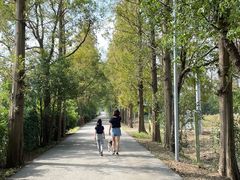 -上海长兴岛郊野公园