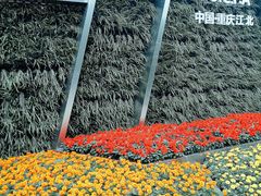 -重庆市江北嘴中央商务区中央公园