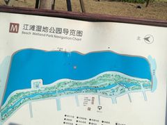 -江滩湿地公园