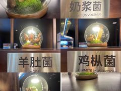 -芸山季·云南山珍菌火锅(人民广场来福士店)