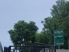-紫金山山顶公园