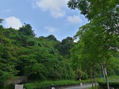 -火炉山森林公园