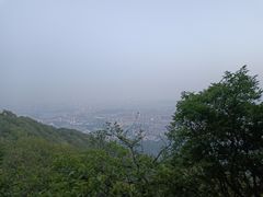 -紫金山山顶公园