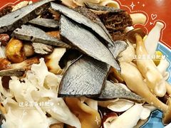 -菌之家·专业纯野生菌火锅·特色炒菌