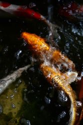 店内环境-老黑造型