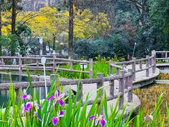 -成都市活水公园