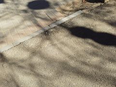 -河北村民俗体验园