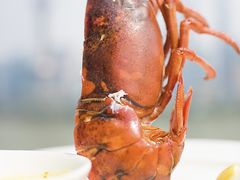 -上海和平饭店华懋阁 Cathay Room