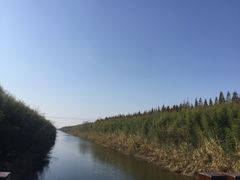 -黄海国家森林公园