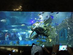 -苏州海洋馆