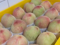 -老袁家蜜桃农场·阳山水蜜桃