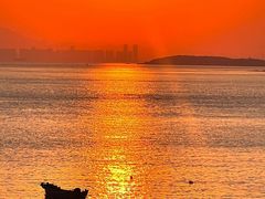 -小麦岛公园