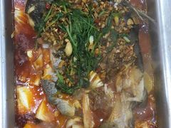 -黑猫馋纸包鱼(阳光店)