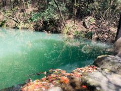 -宁波市保国寺古建筑博物馆