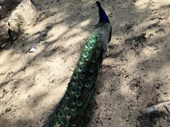 -秦皇岛野生动物园