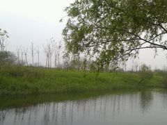 android_upload_pic-新江湾城公园