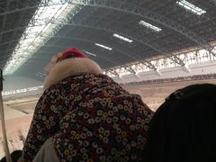 -骏途旅游