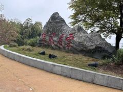 -缙云山景区