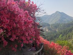 -木兰云雾山