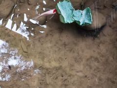 -鱼桥巷·美学川菜