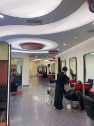 点击看大图 -IP SALON
