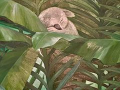 -江苏省美术馆(长江路新馆)