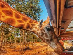 -清迈夜间动物园