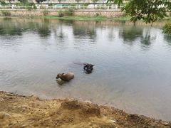 -杭州双溪漂流景区