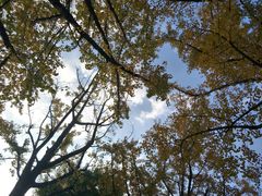 -杭州半山国家森林公园