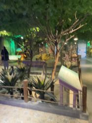 -酷嗒动物文化乐园(cutezoo西溪乐天城店)