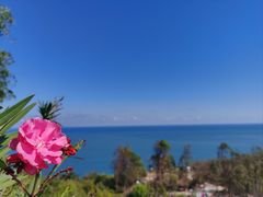 -广东惠东海龟国家级自然保护区