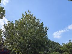 -堤角公园