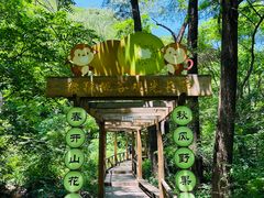-大岭沟猕猴桃谷风景区