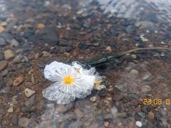 -丽江泸沽湖景区