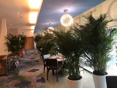 大堂-万德诺富特酒店·自助餐厅(万德大厦店)