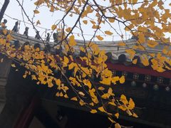 -红螺寺